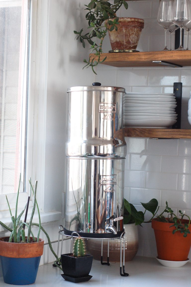 Should You Buy a Berkey Water Filter? Rooted In Healing