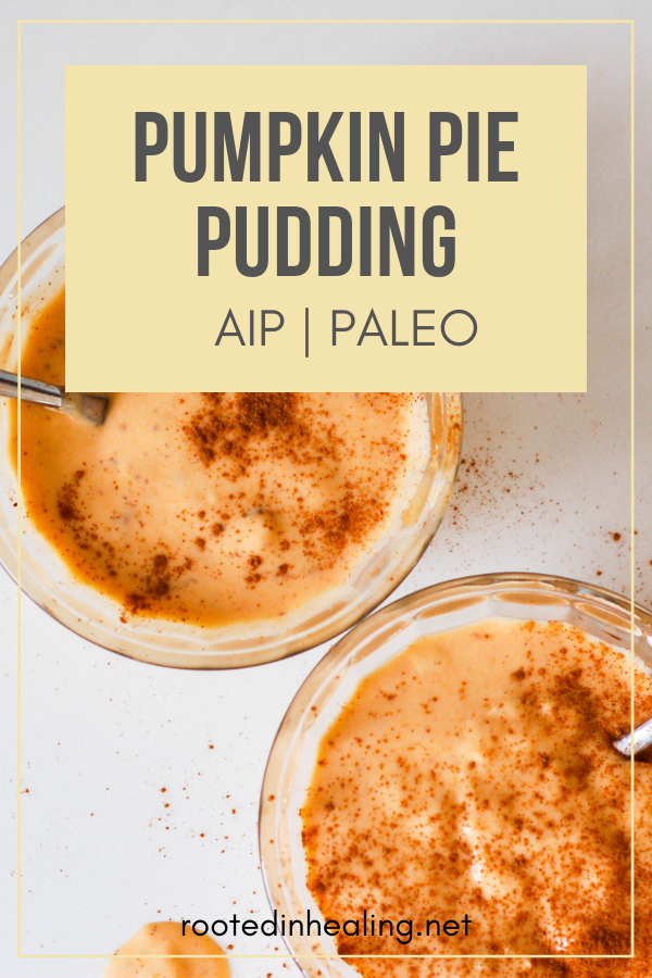 pumpkin pie pudding 