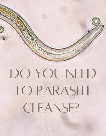 Do You Need a Parasite Cleanse?